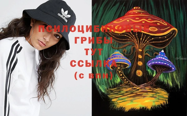 наркотики Вяземский