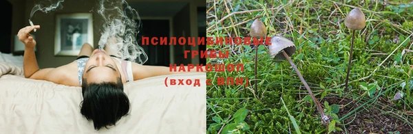 первитин Вязники